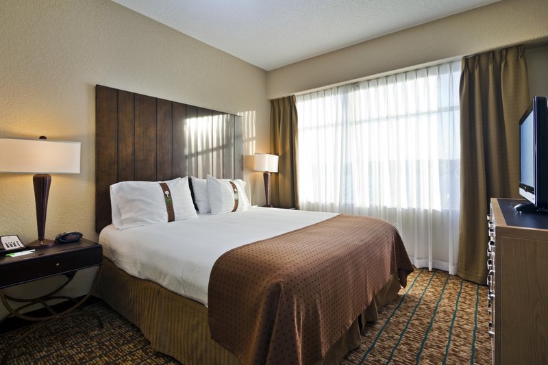 Holiday Inn San Antonio Nw Seaworld Area
