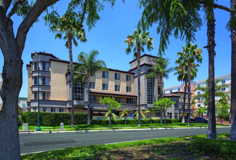 Peacock Suites